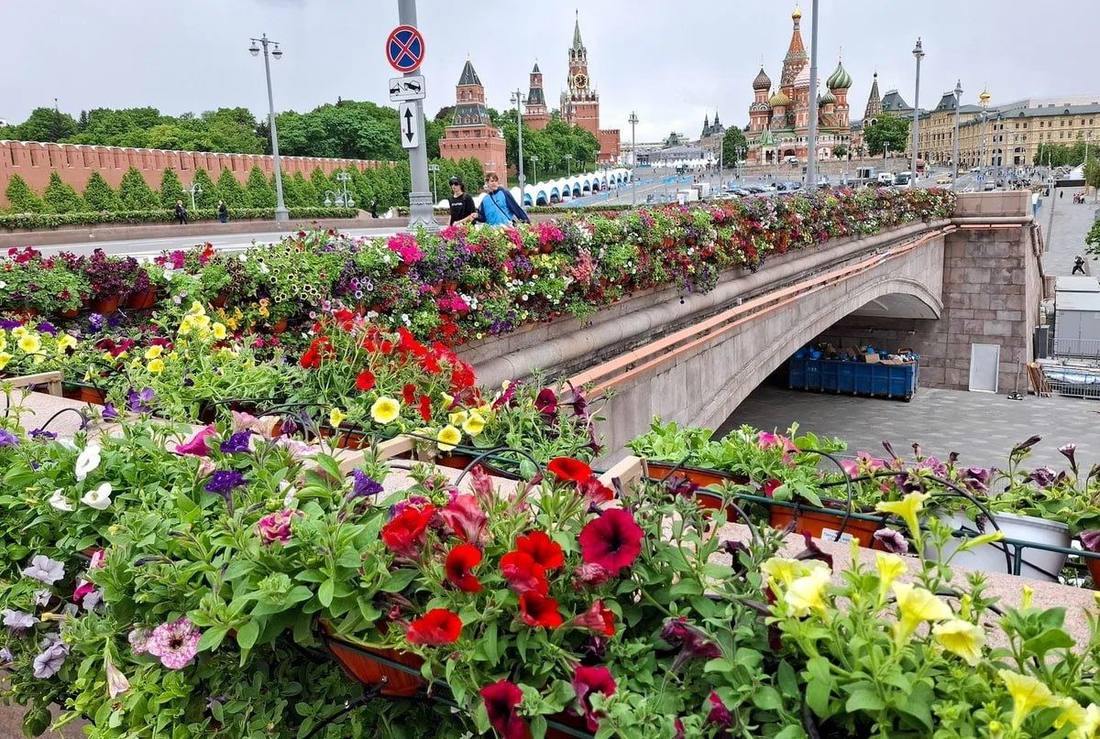 Городские сады