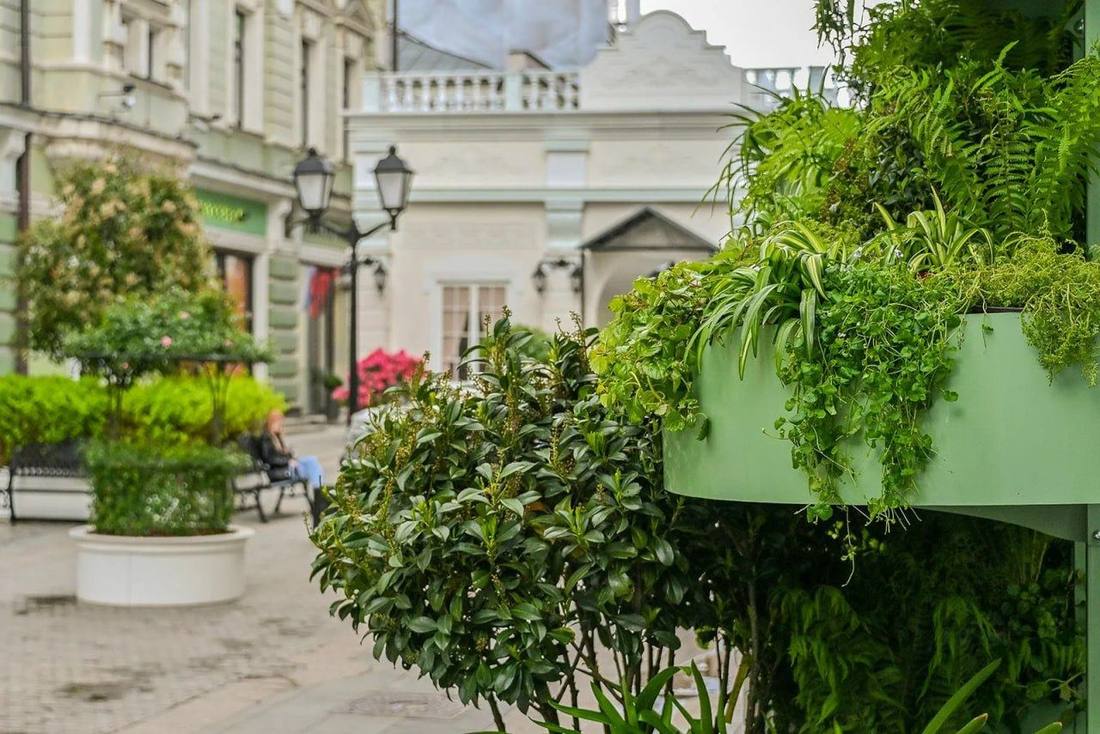 Цветочная стена на Никольской
